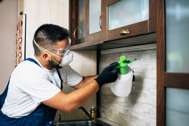 Best Pest Inspection Near Me  in Germantown, MD