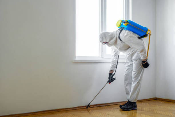 Best Local Pest Control Services  in Germantown, MD