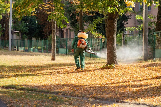 Pest Control Cost in Germantown, MD