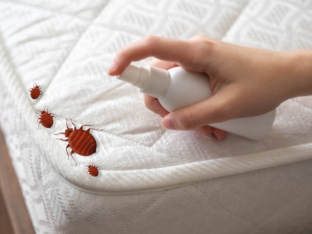 Pest Control for Restaurants in Germantown, MD