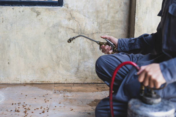 Best Mosquito Control Services  in Germantown, MD
