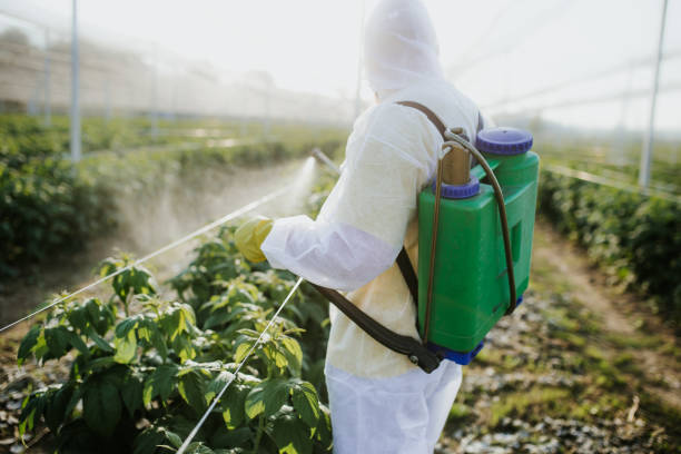 Best Affordable Pest Control Services  in Germantown, MD